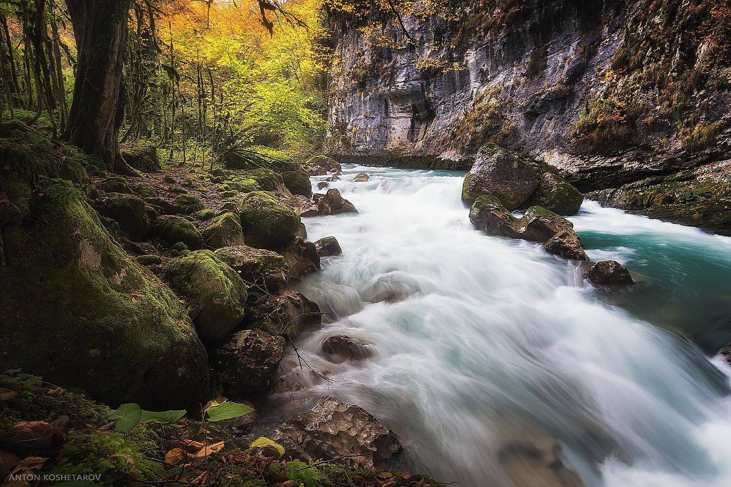 , Антон Кошетаров