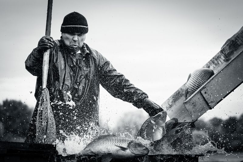 From catching fish фото превью