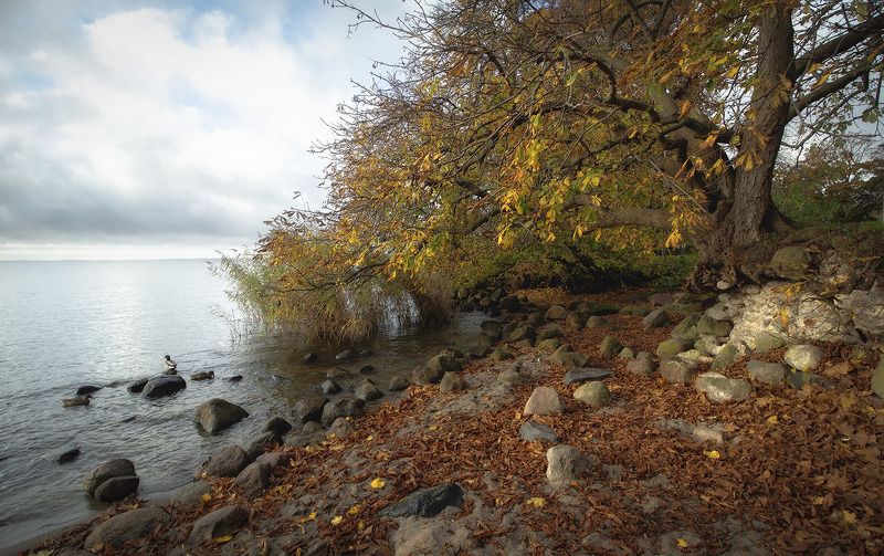 Берег фото превью