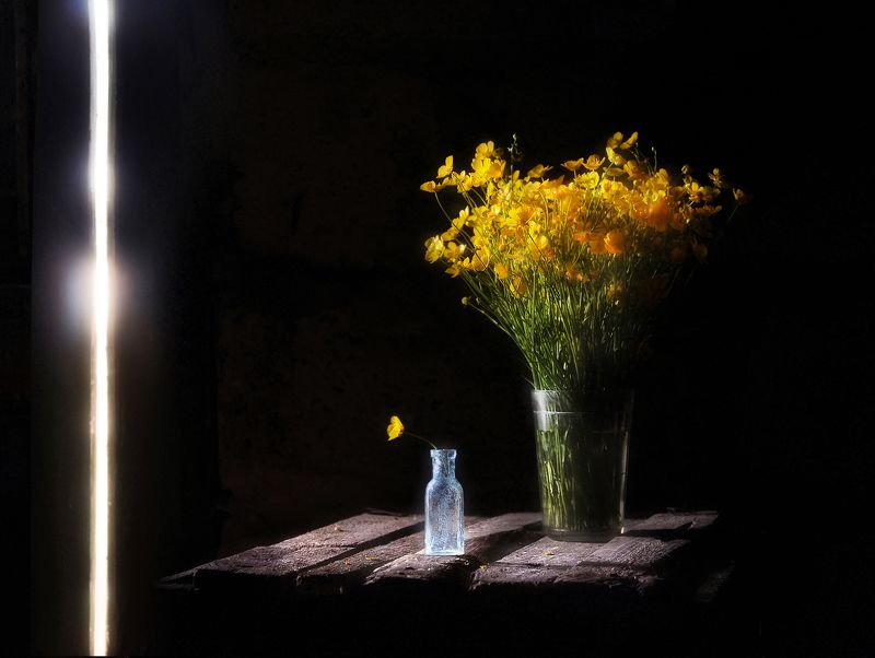 Жизни свет фото превью