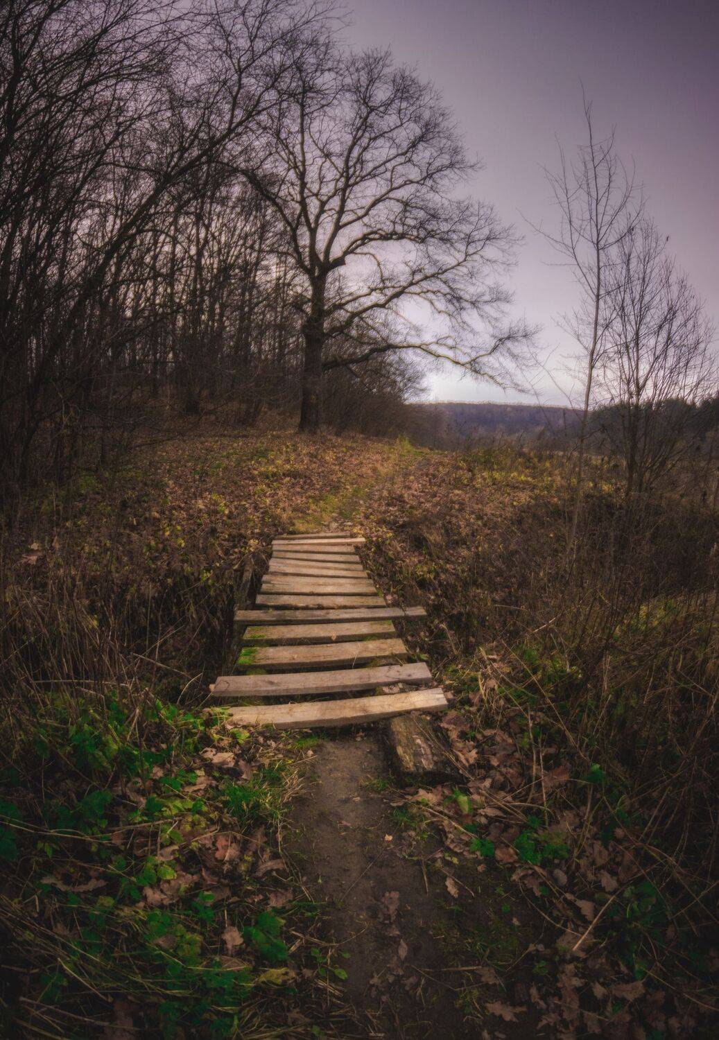 , Котов Андрей