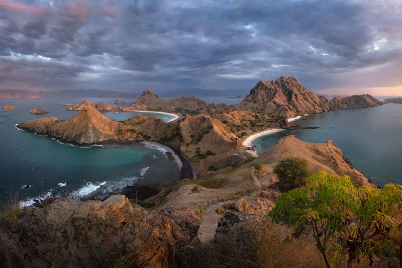 Komodo фото превью