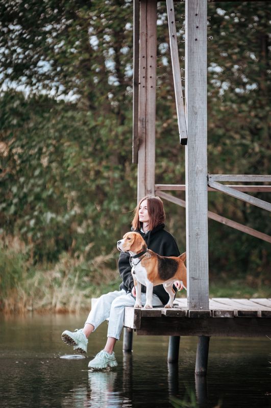 собака, Бигль Лил фото превью