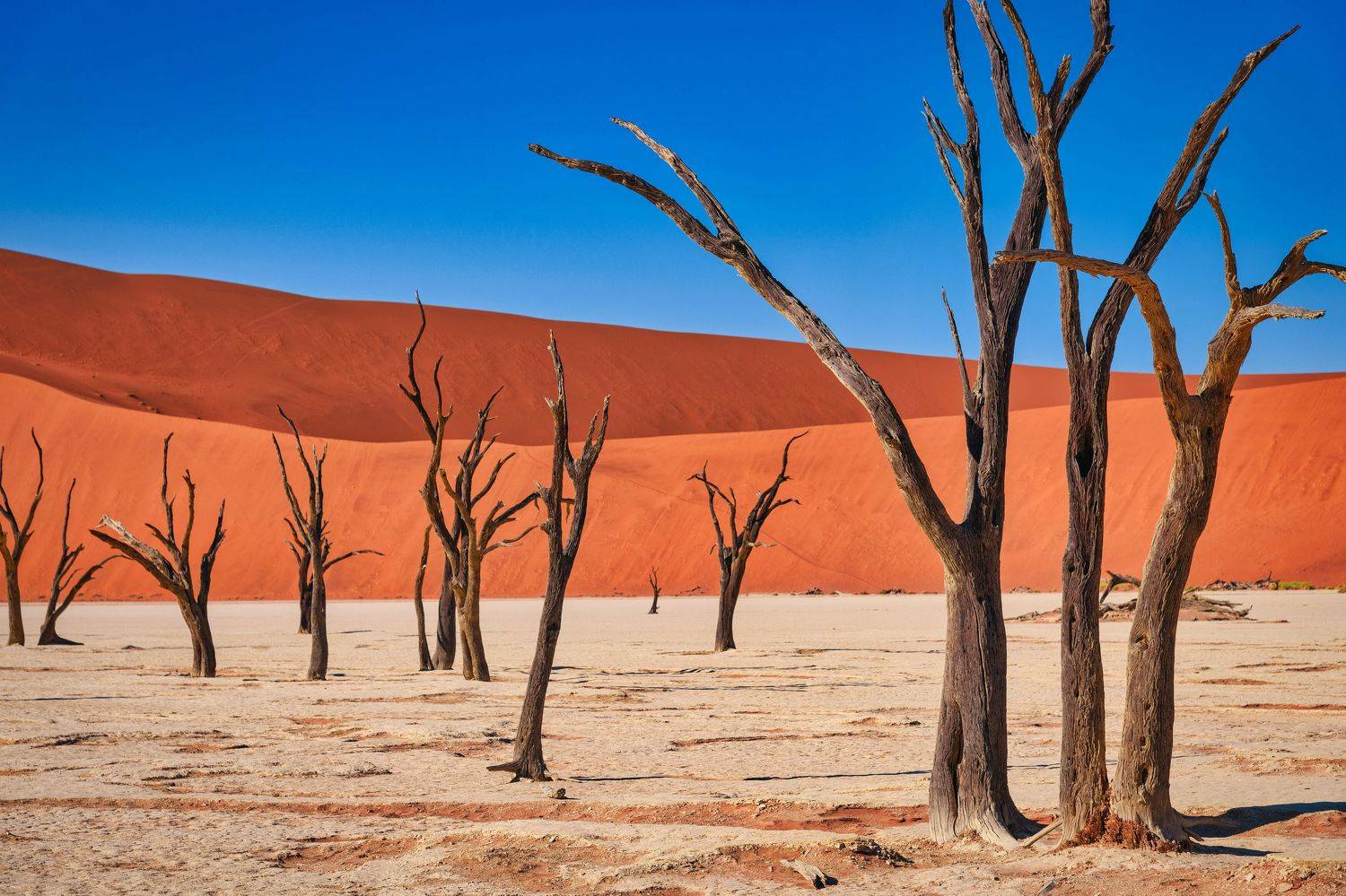 , Дмитрий Ильин