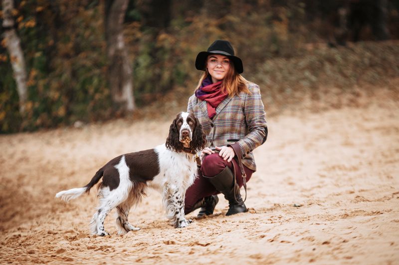 Английский спрингер спаниель Веста фото превью