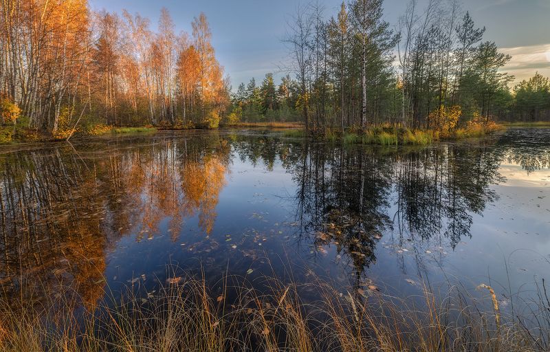 осень вода отражение болото вечер закат октябрь Осенние контрасты фото превью