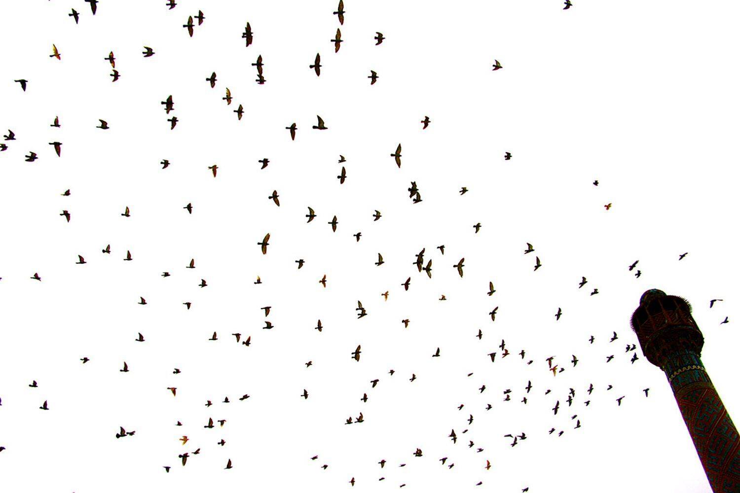 , mehdi karimi souderjani