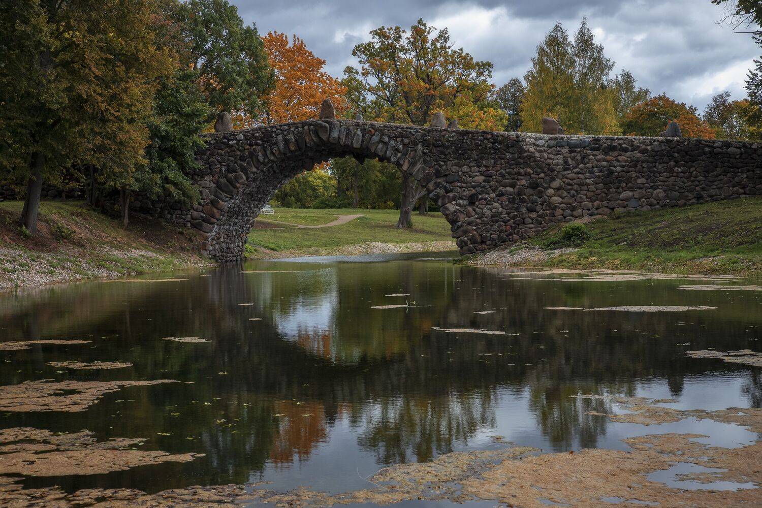 Тверская область, Гусева Елена