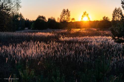 Красочный вечер