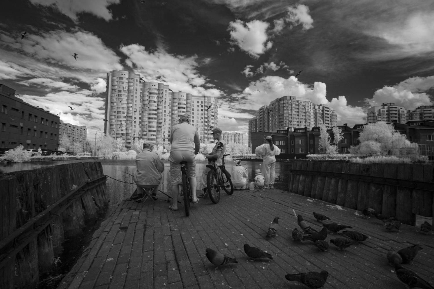 ИК, инфракрасная фотография, Мытищи, Илья Пономарев