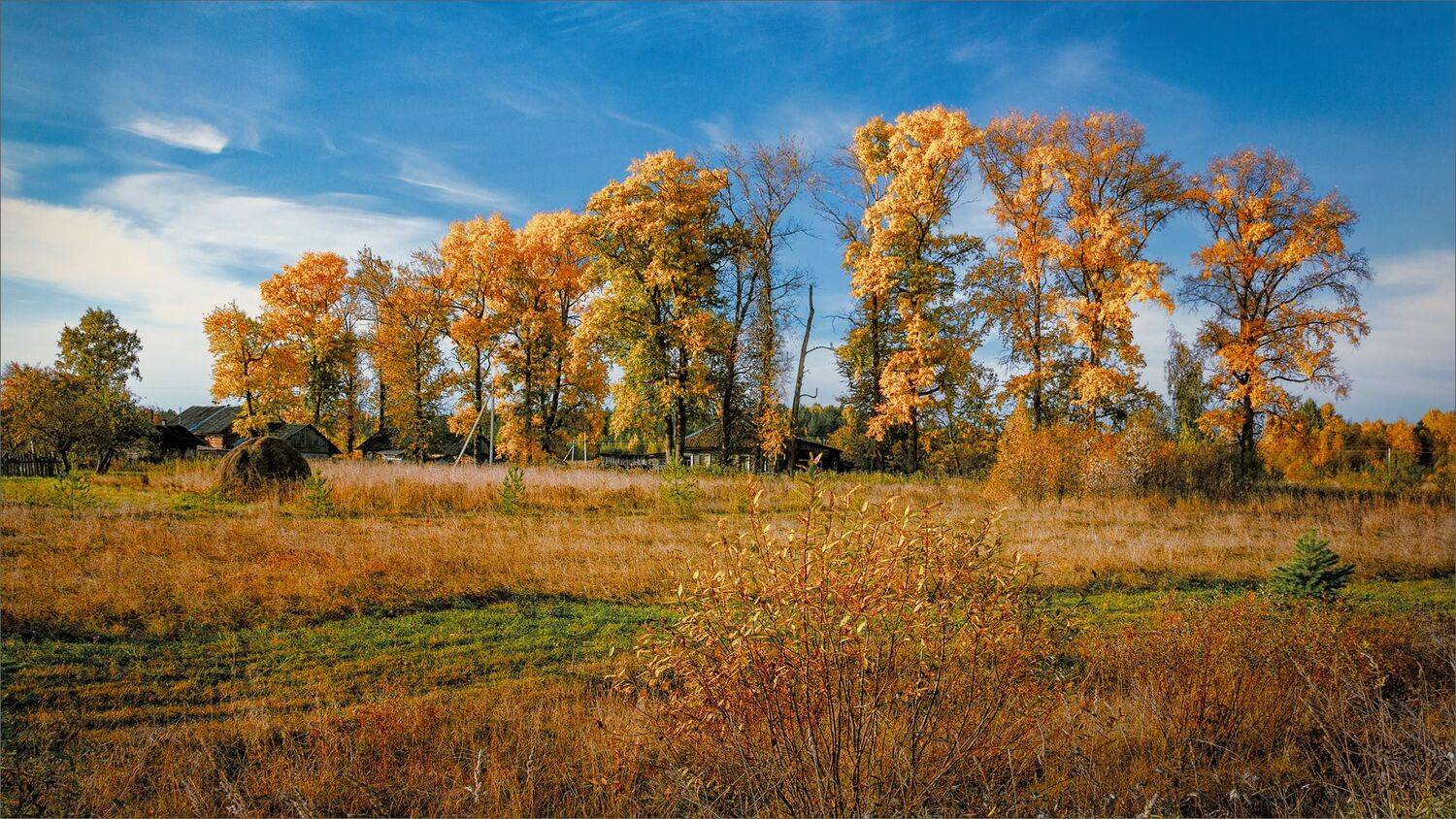 пейзаж, осень, деревня, лес, поле, небо, свет, цвет, александр никитинский, Никитинский Александр
