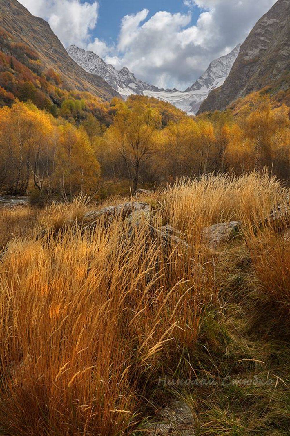 кавказ горы лес осень, Николай Стюбко