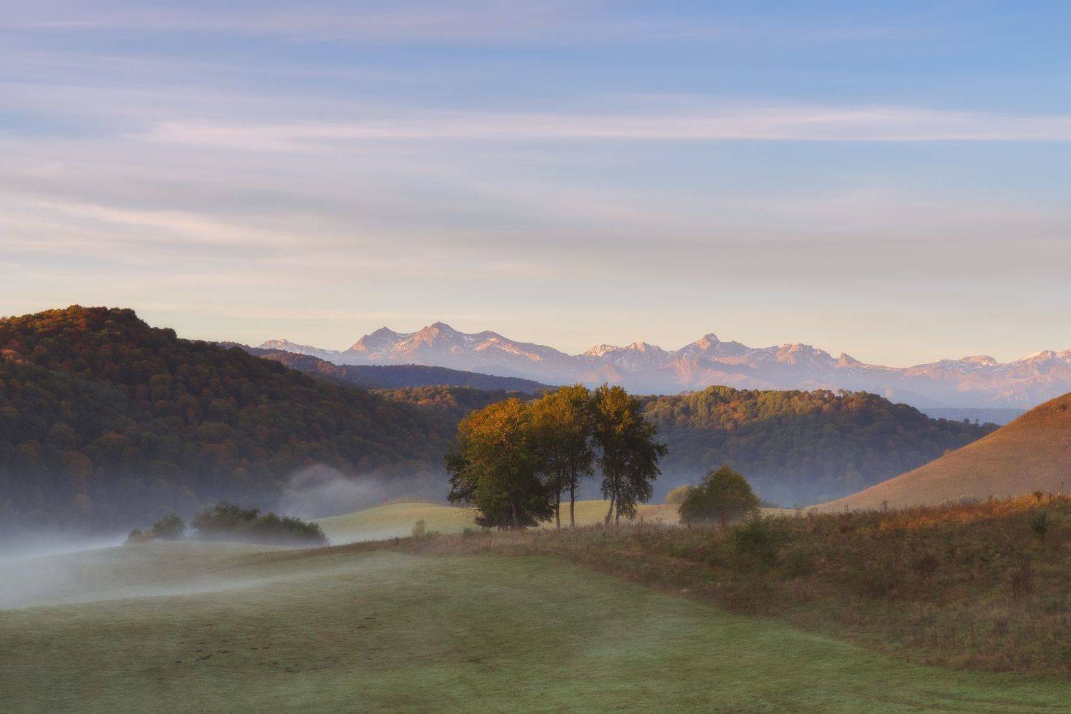 , Юлия Мальцева