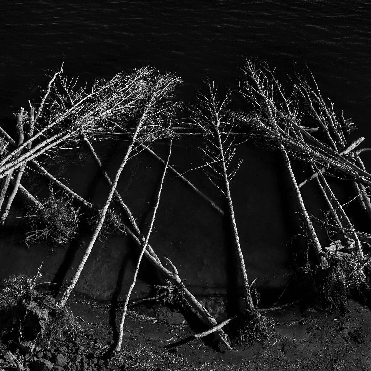 , Иванов Кирилл