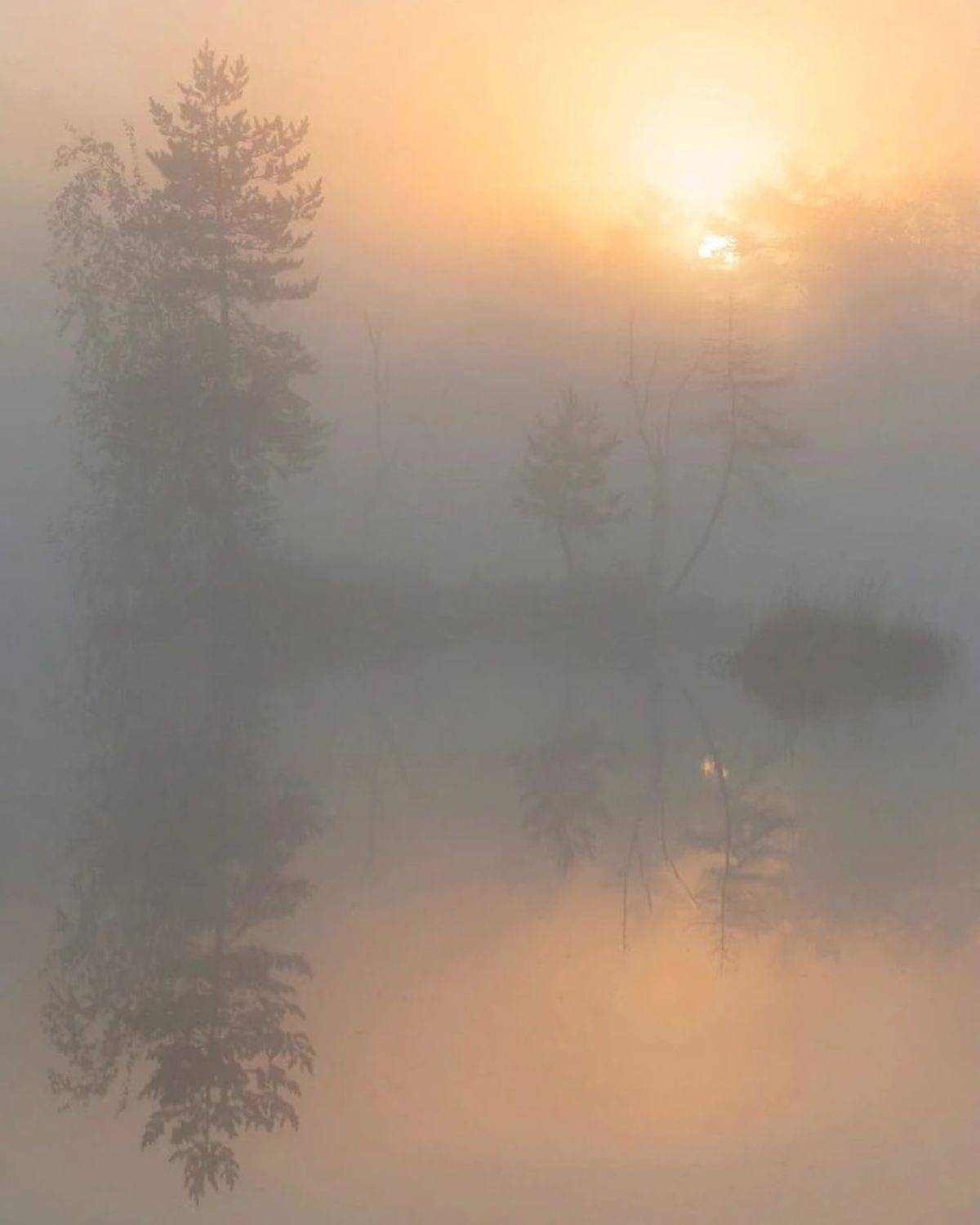 , Петр Косых