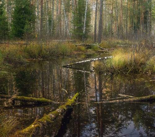 Потерявшаяся речка