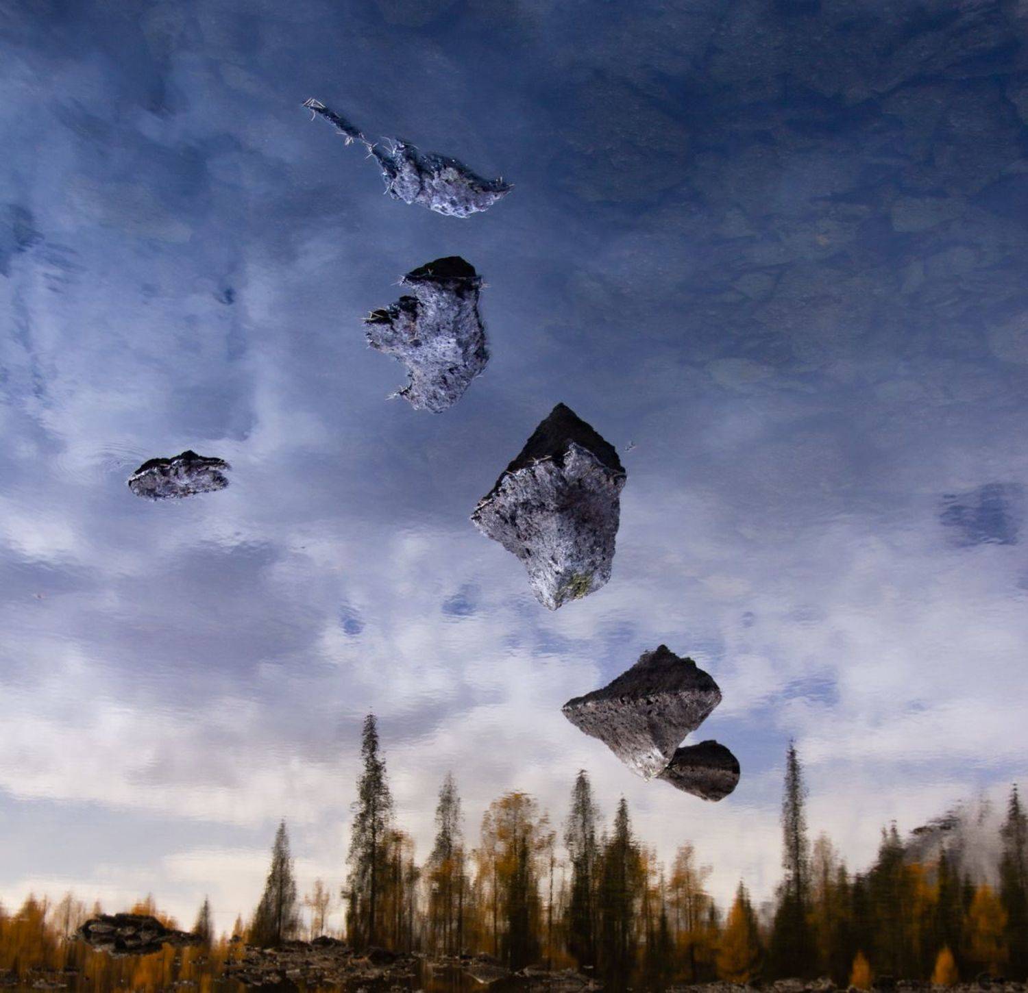 , Трофимов Алексей