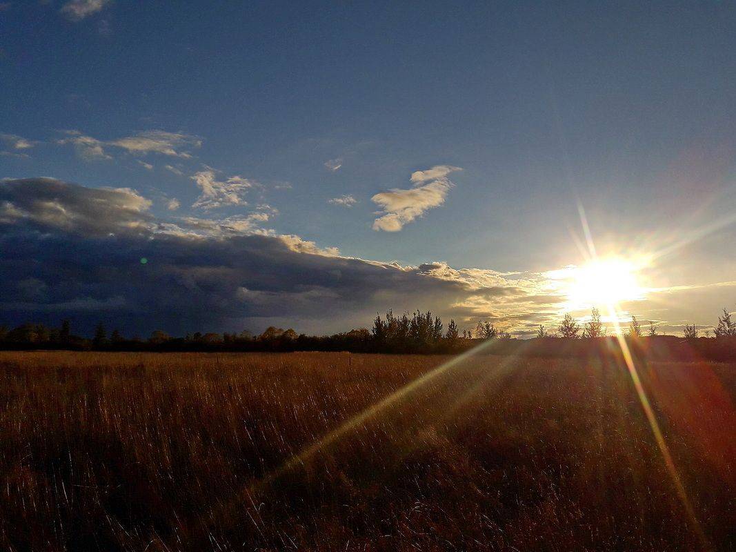 , Николаев Владимир