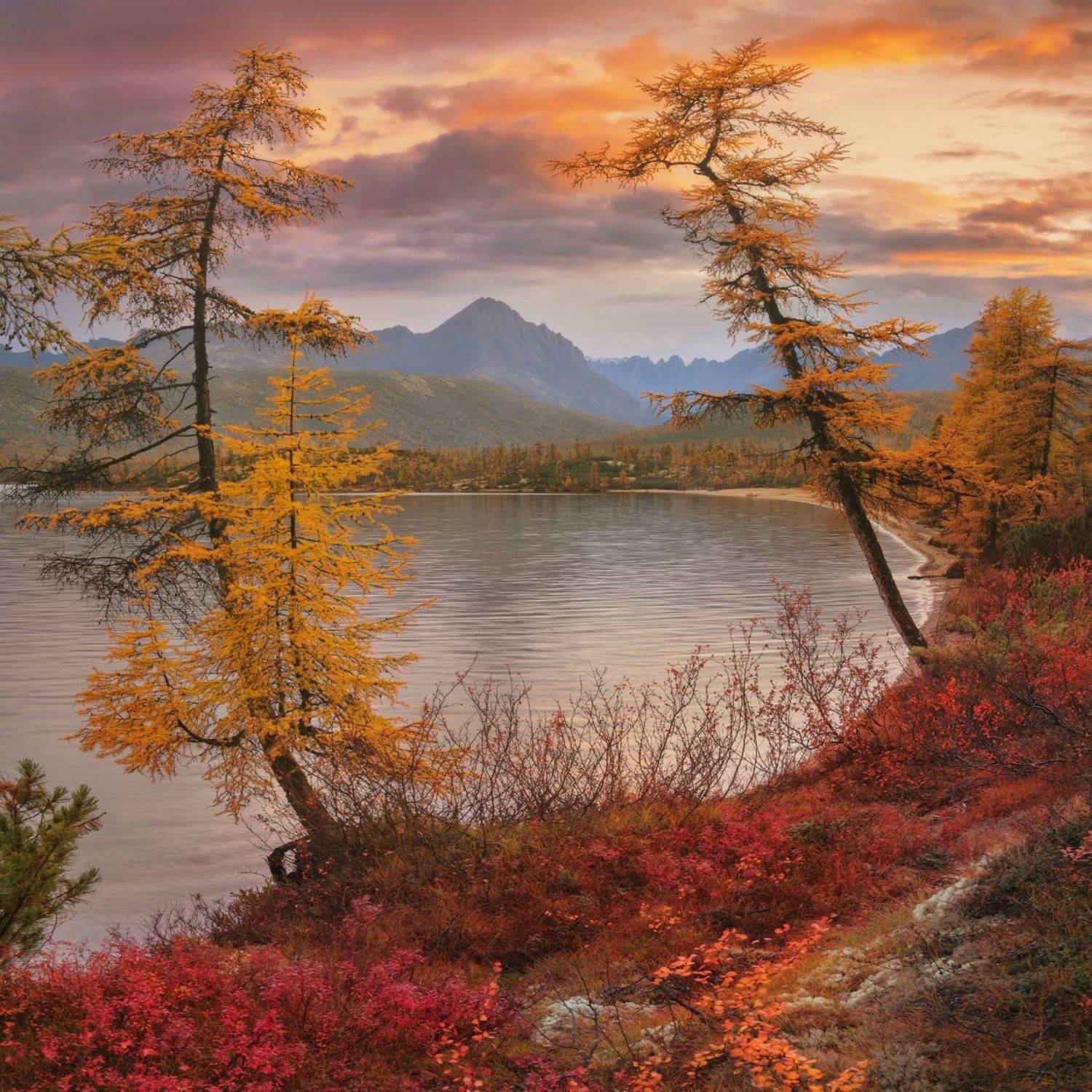 осень, колыма, озеро джека лондона, Дмитрий Медянцев