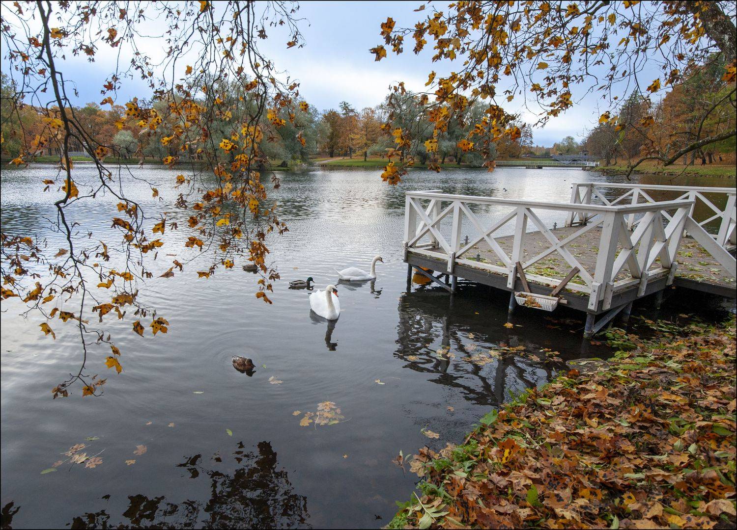 , Георгий Сапожников
