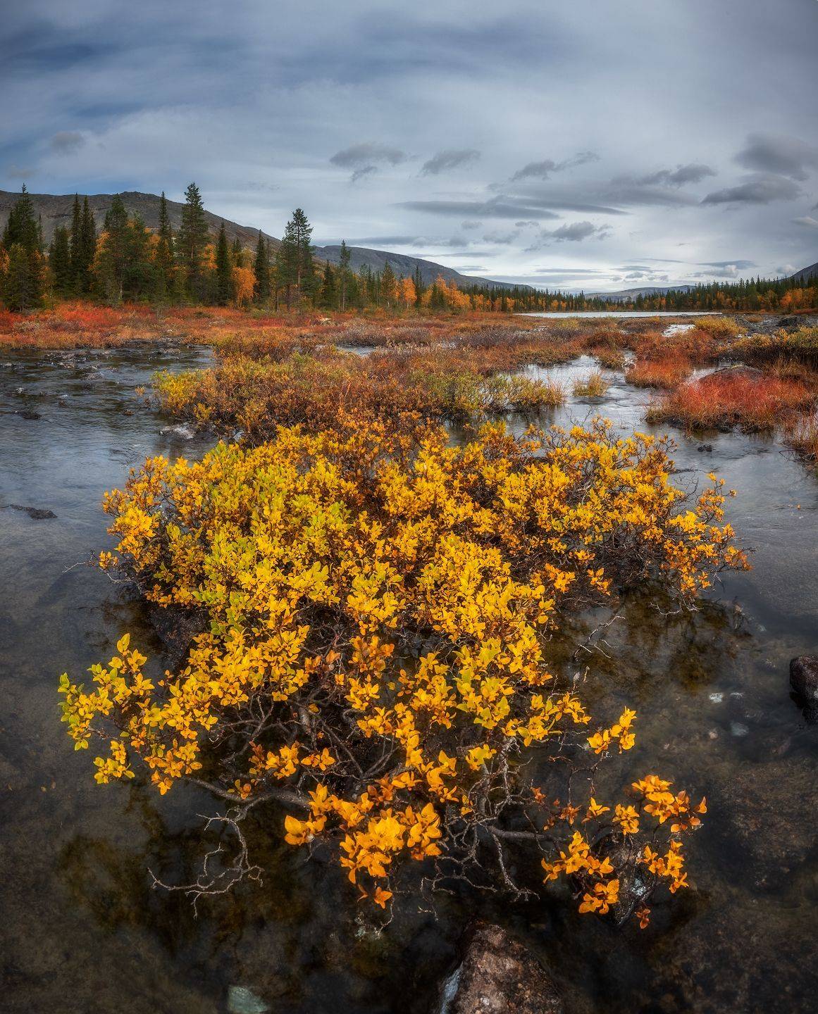 хибины, заполярье, осень, Марголин Алексей