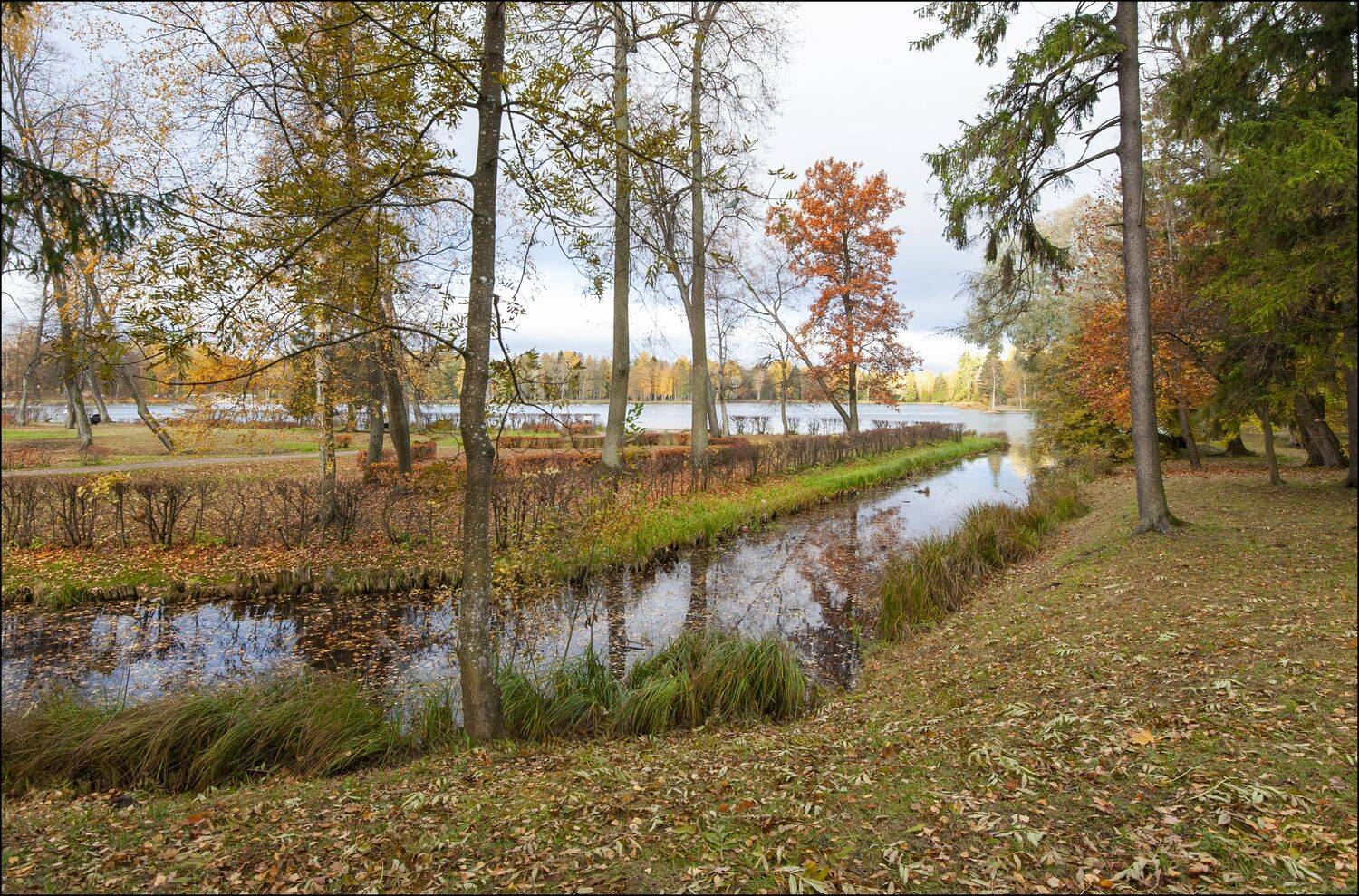 , Георгий Сапожников