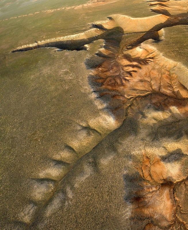 Золотая черепаха плато Устюрт, Казахстан Плато Устюрт фото превью