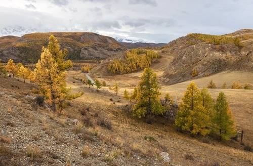 Осень на Алтае