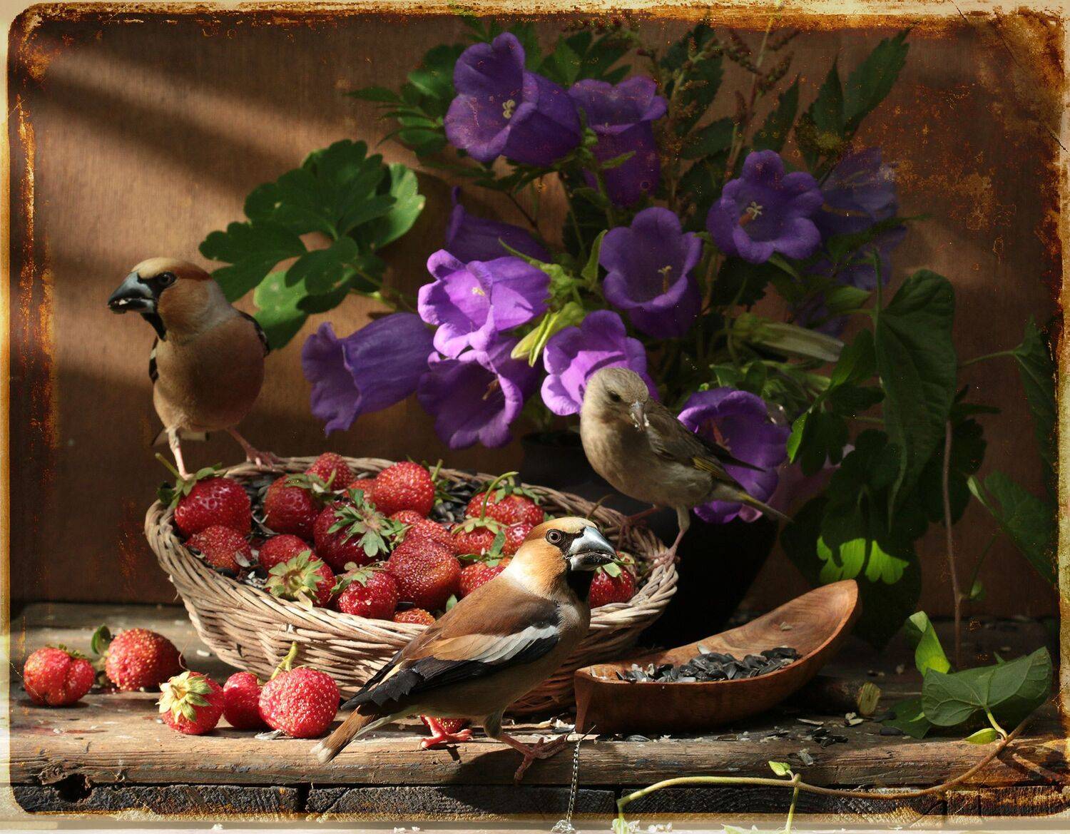 , Хромушин Олег