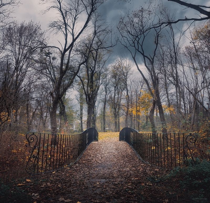 Осенний парк фото превью