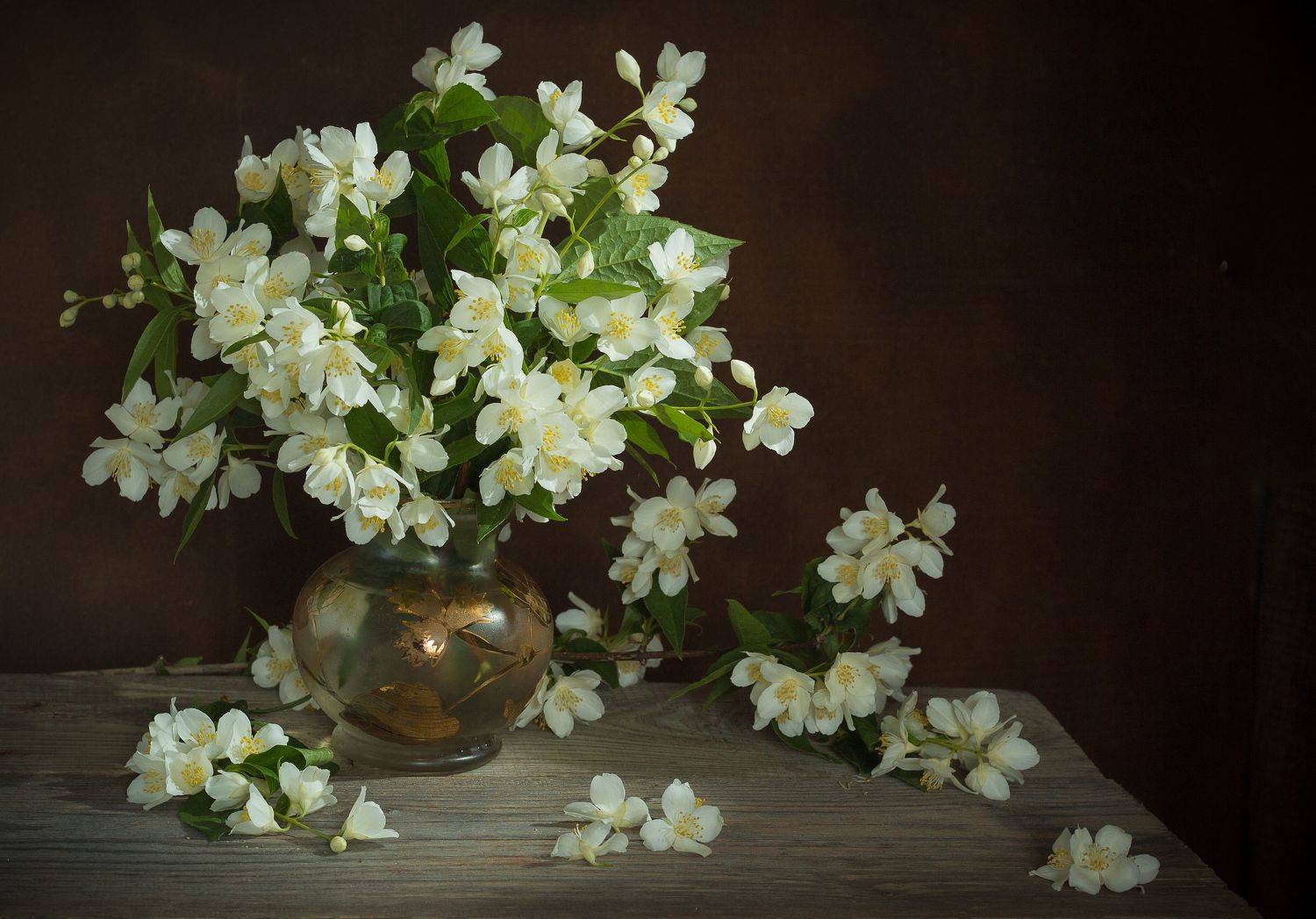 жасмин, ваза, Elena Hvojnova