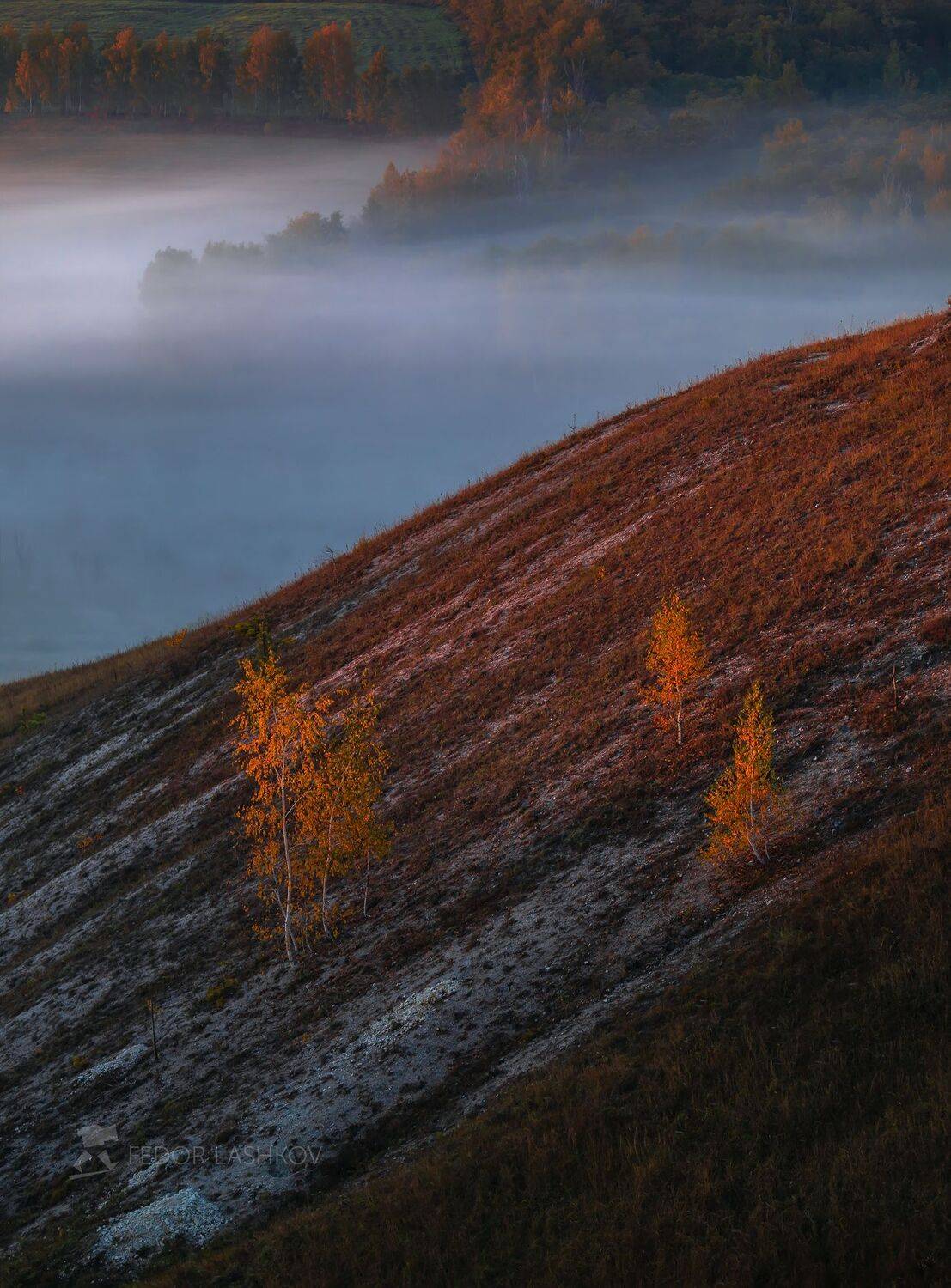 белгородская область, белогорье, осень, осенний, степь, заповедник, туман, туманное, гора, горное, стенки &ndash; изгорья, рассвет, берёза, оранжевый,, Лашков Фёдор