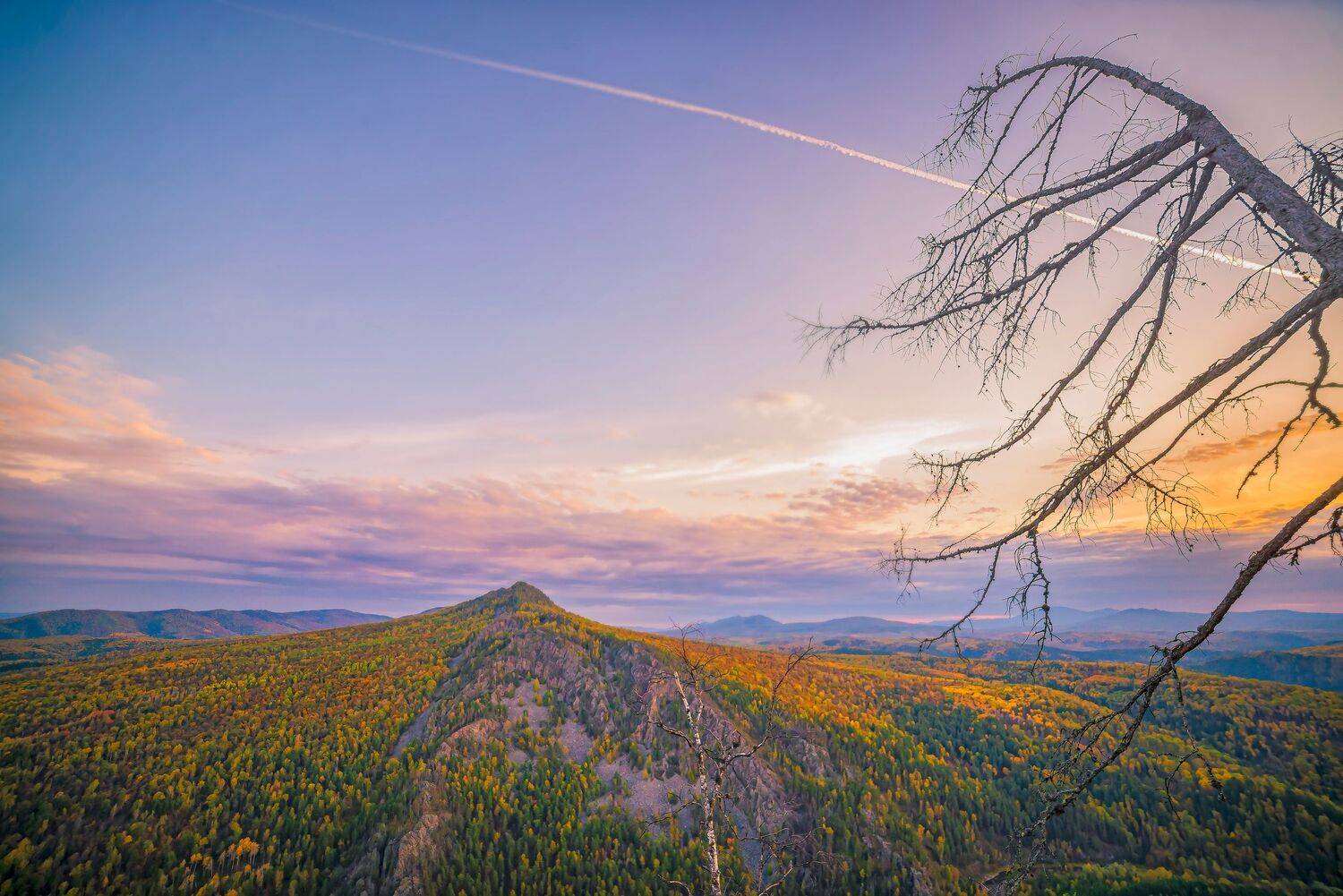 , Антонов Антон