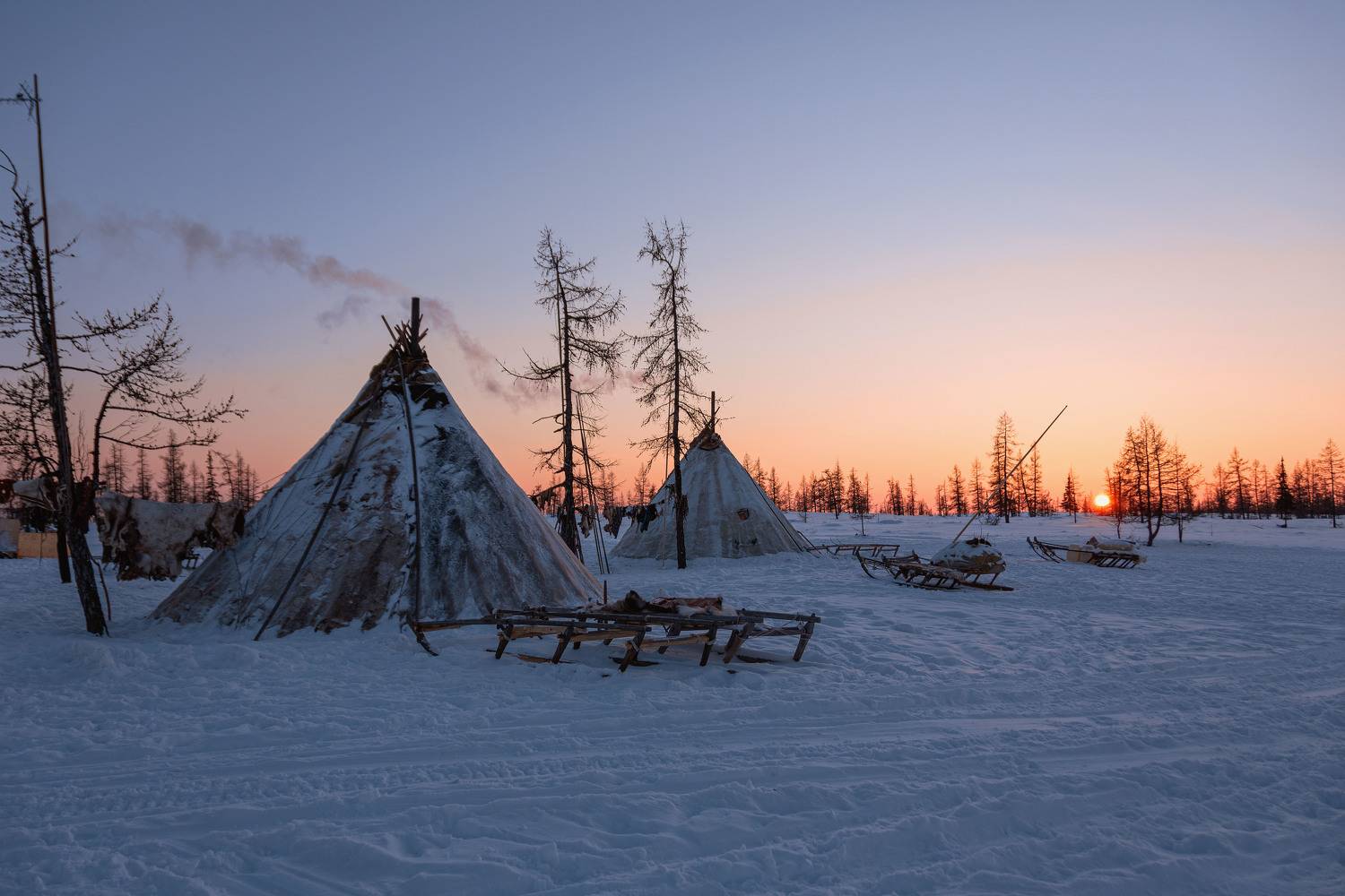 янао, полярный круг, стойбище ненцев-оленеводов, Кетова Вера