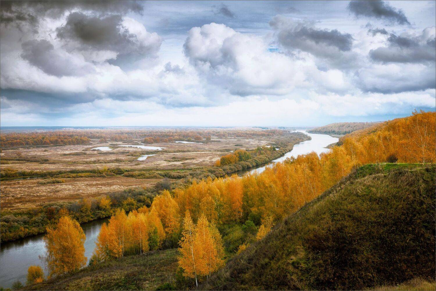 пейзаж, осень, река, берёзы, небо, облака, свет, цвет, александр никитинский, Никитинский Александр