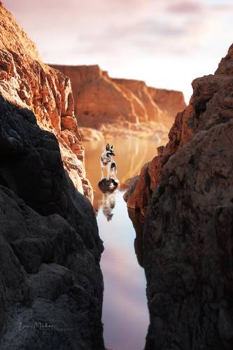 Каньон Ошаганды