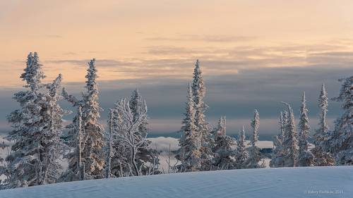 Над облаками