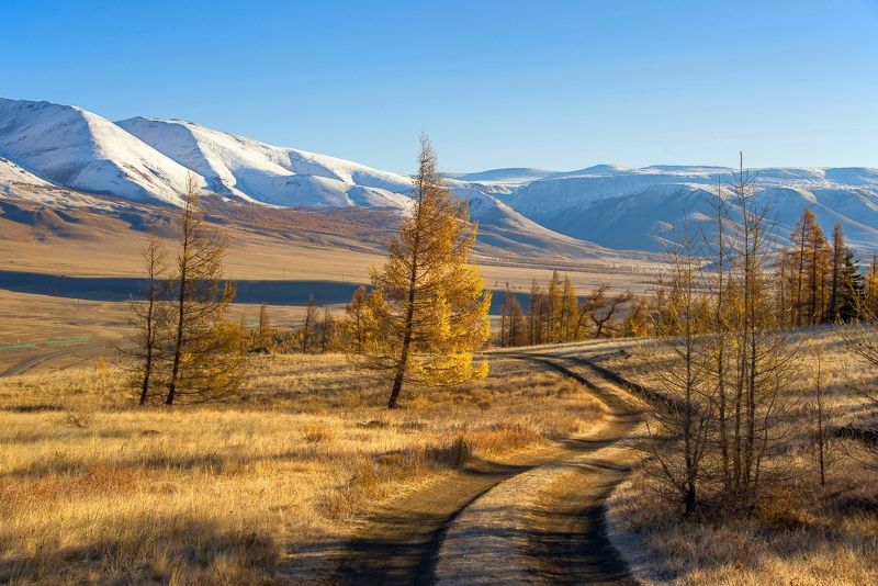 Алтай. фото превью