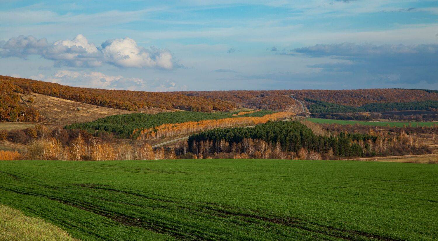 , Максим Подосинников