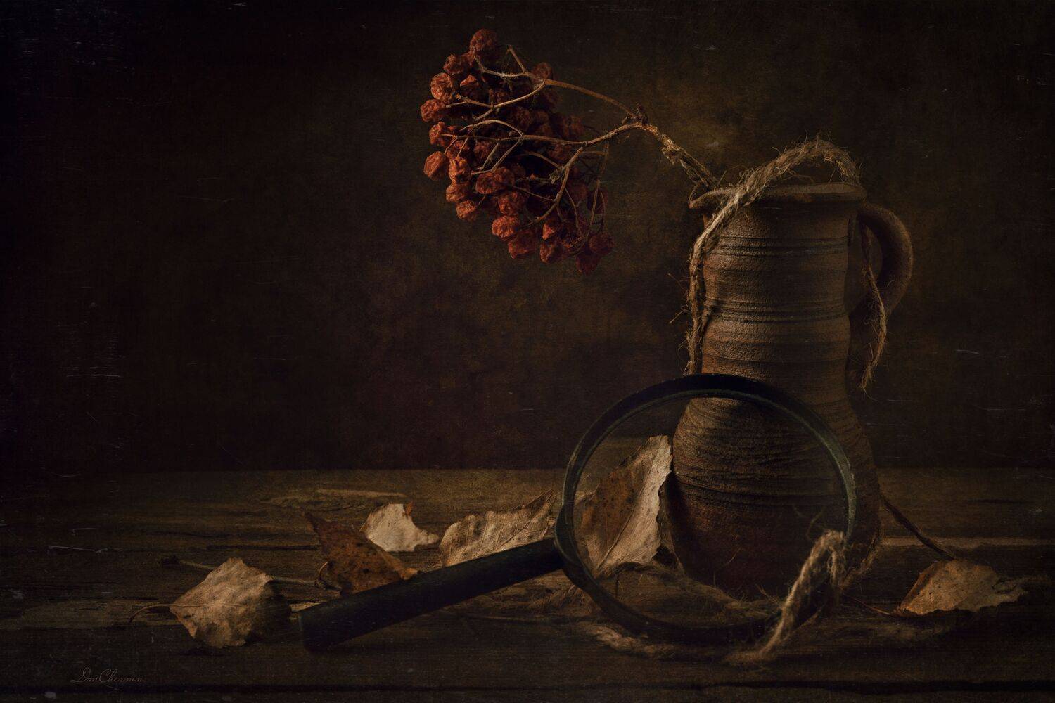 , Дмитрий Чернин