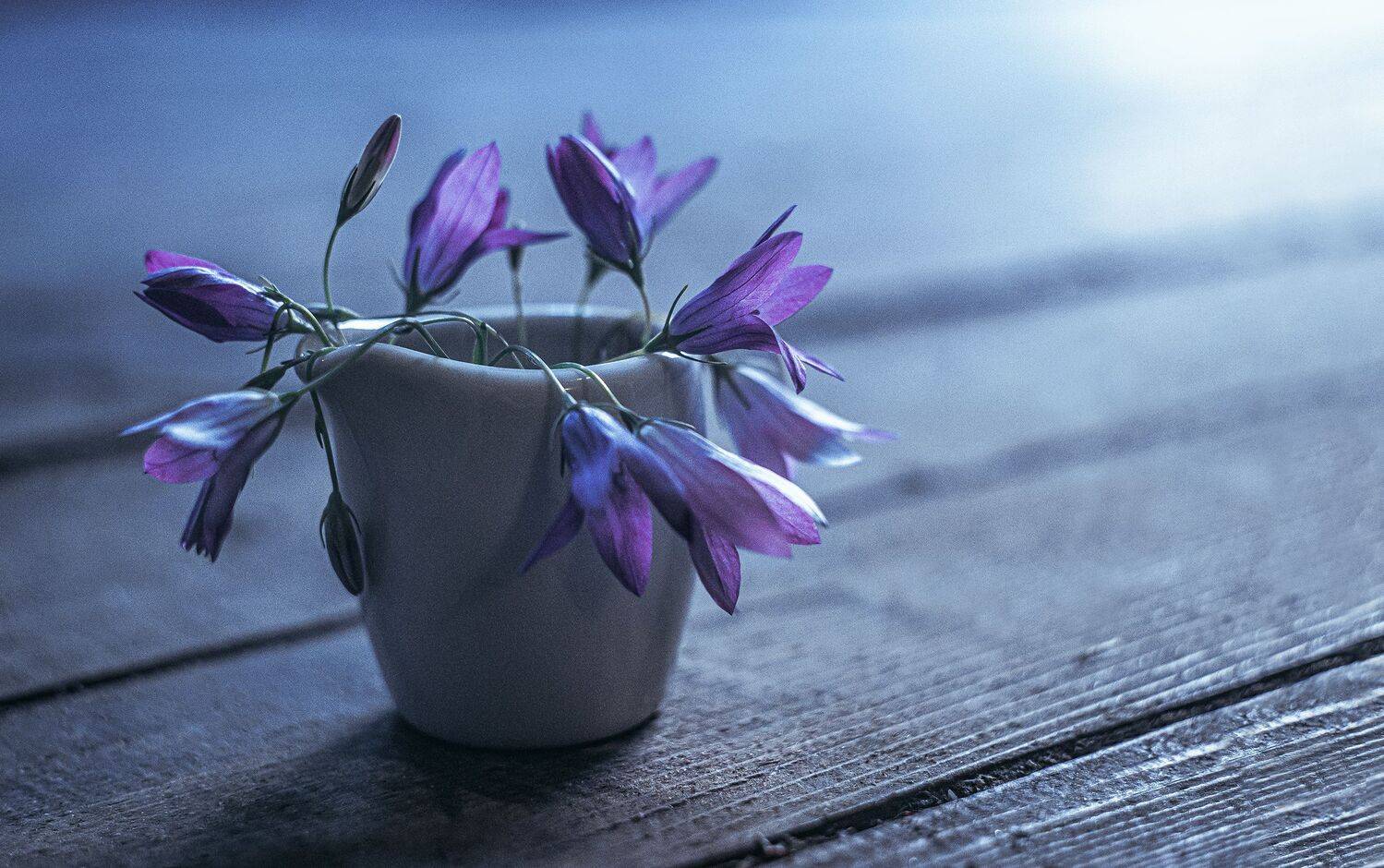 , Рут Андрей