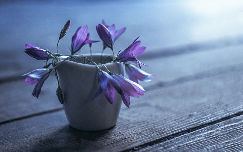 ... фото превью