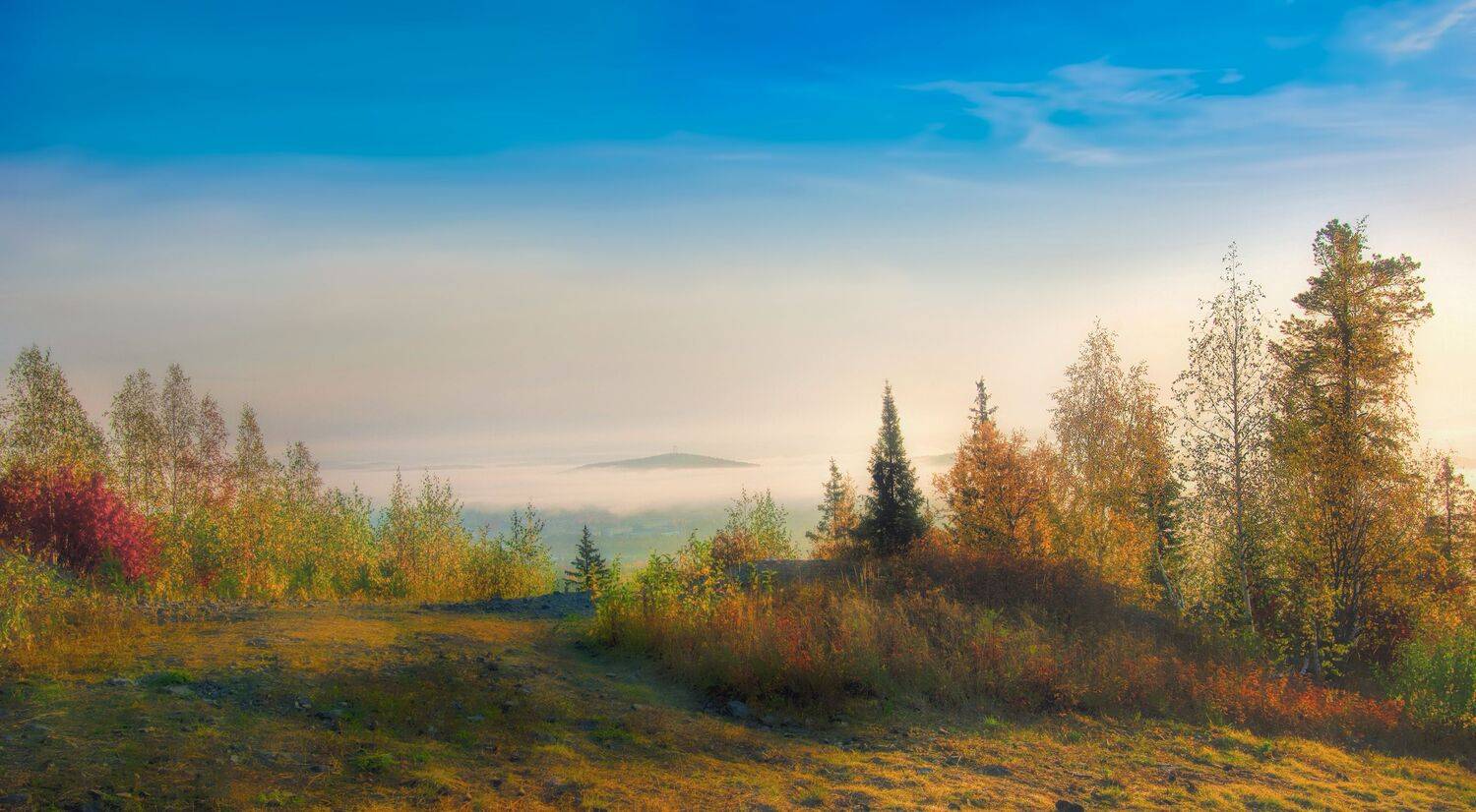 Солнечное утро. Автор: Vladim Bormotov , Vladim Bormotov