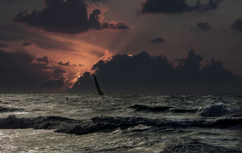 Тревога и надежда фото превью