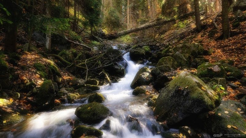 природа пейзаж реки лес осень камни Лесные реки 5 фото превью