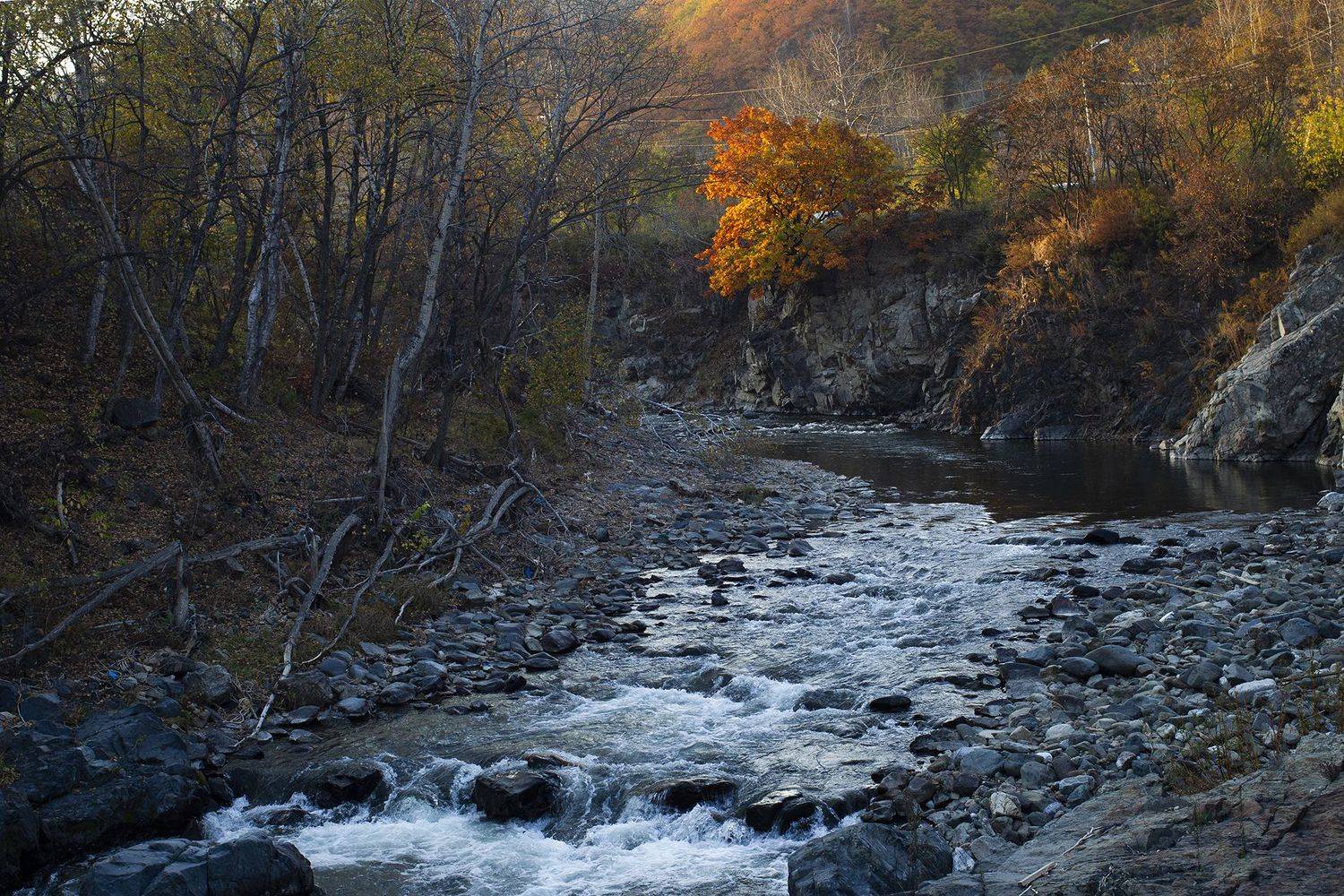 , Дмитрий Рудаков