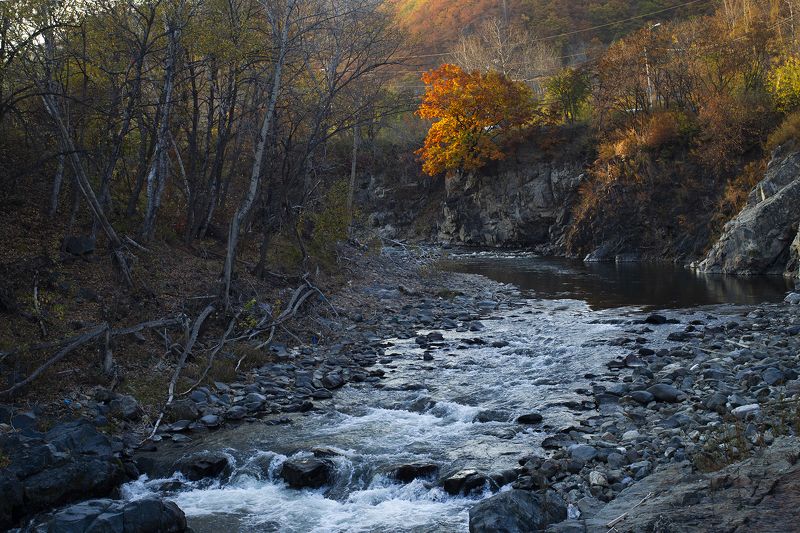Последний луч фото превью