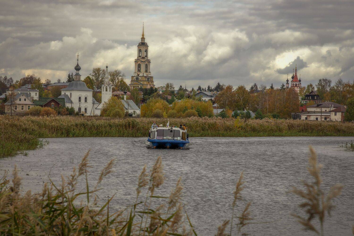 Владимирская область, Гусева Елена