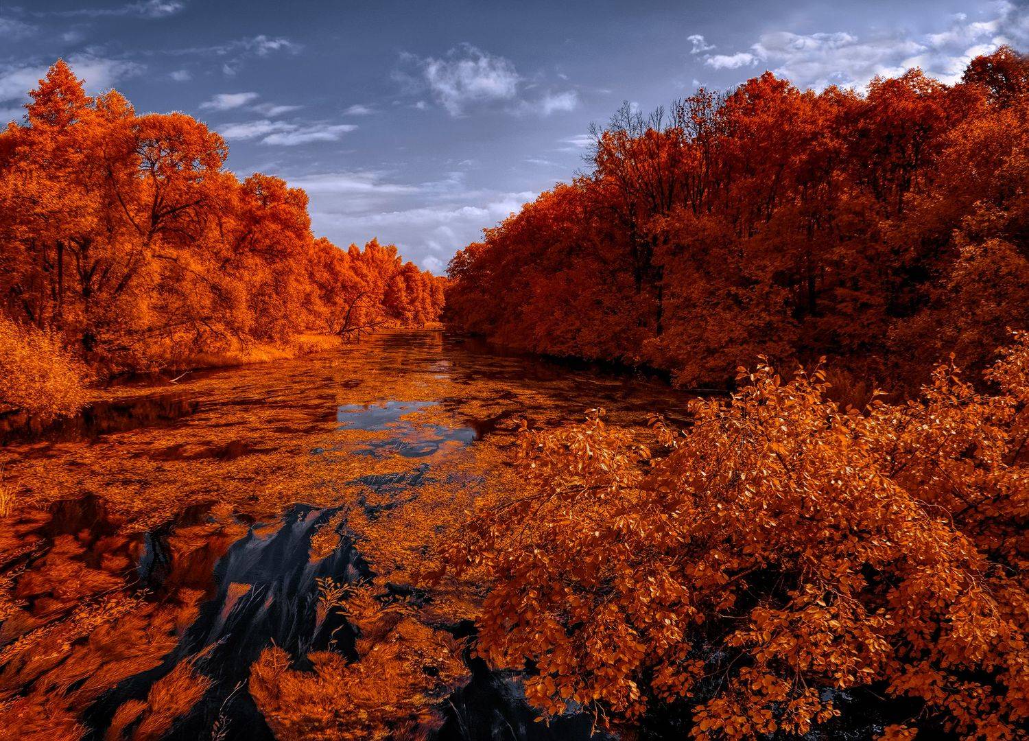 infrared,ик-фото,инфракрасное фото, инфракрасная фотография, пейзаж, лето,  Sixten (Сергей)
