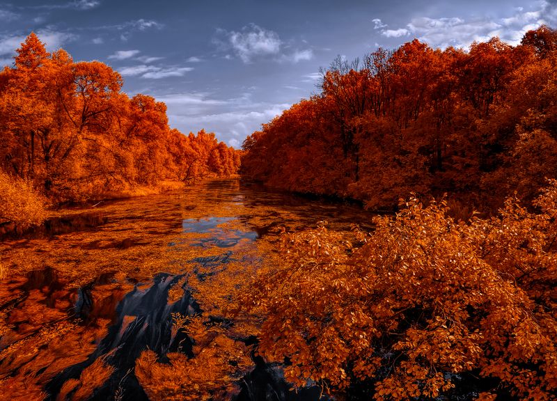 Сколько в реку не смотри... фото превью